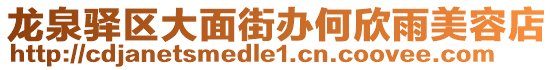 龍泉驛區(qū)大面街辦何欣雨美容店