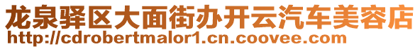 龍泉驛區(qū)大面街辦開云汽車美容店