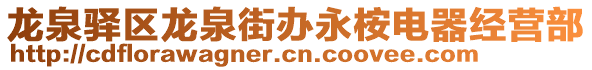 龍泉驛區(qū)龍泉街辦永桉電器經營部