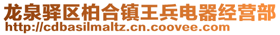 龍泉驛區(qū)柏合鎮(zhèn)王兵電器經(jīng)營(yíng)部