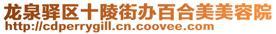 龍泉驛區(qū)十陵街辦百合美美容院