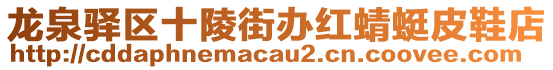 龍泉驛區(qū)十陵街辦紅蜻蜓皮鞋店