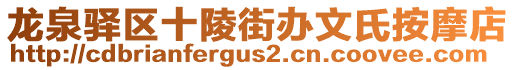 龍泉驛區(qū)十陵街辦文氏按摩店