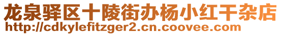 龍泉驛區(qū)十陵街辦楊小紅干雜店