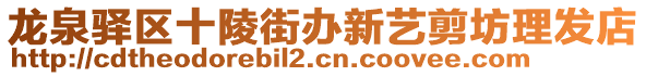 龍泉驛區(qū)十陵街辦新藝剪坊理發(fā)店