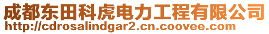 成都東田科虎電力工程有限公司