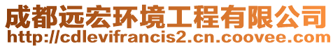 成都遠(yuǎn)宏環(huán)境工程有限公司