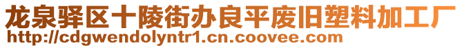 龍泉驛區(qū)十陵街辦良平廢舊塑料加工廠