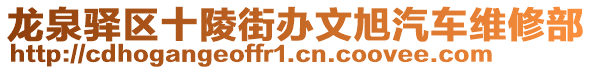 龍泉驛區(qū)十陵街辦文旭汽車維修部