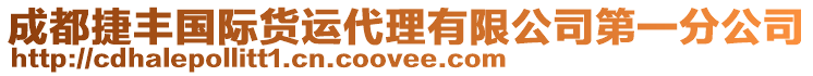 成都捷豐國際貨運代理有限公司第一分公司