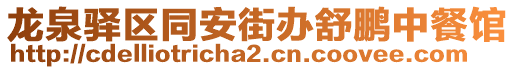 龍泉驛區(qū)同安街辦舒鵬中餐館