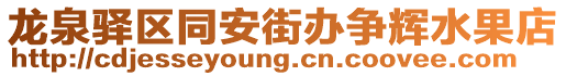 龍泉驛區(qū)同安街辦爭(zhēng)輝水果店