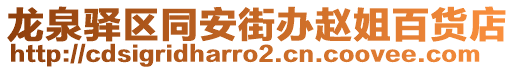 龍泉驛區(qū)同安街辦趙姐百貨店