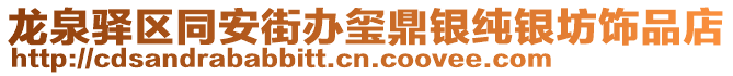 龍泉驛區同安街辦璽鼎銀純銀坊飾品店