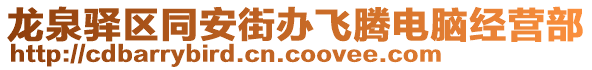 龍泉驛區同安街辦飛騰電腦經營部