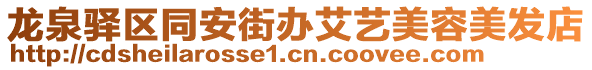 龍泉驛區同安街辦艾藝美容美發店