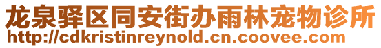 龍泉驛區(qū)同安街辦雨林寵物診所