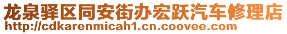 龍泉驛區(qū)同安街辦宏躍汽車修理店