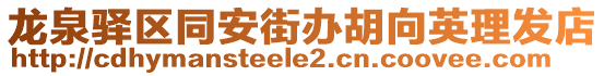 龍泉驛區同安街辦胡向英理發店