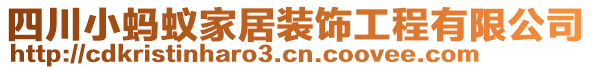 四川小螞蟻家居裝飾工程有限公司