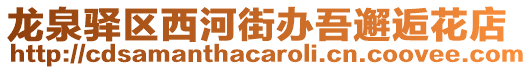 龍泉驛區西河街辦吾邂逅花店