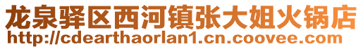 龍泉驛區(qū)西河鎮(zhèn)張大姐火鍋店