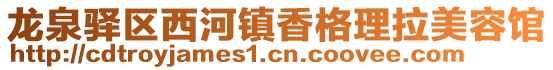 龍泉驛區西河鎮香格理拉美容館