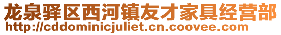 龍泉驛區(qū)西河鎮(zhèn)友才家具經(jīng)營(yíng)部