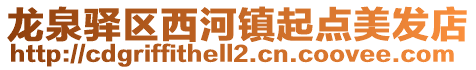 龍泉驛區(qū)西河鎮(zhèn)起點(diǎn)美發(fā)店