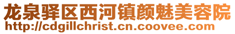 龍泉驛區西河鎮顏魅美容院