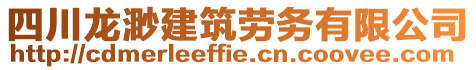四川龍渺建筑勞務有限公司