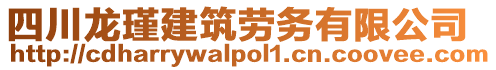 四川龍瑾建筑勞務有限公司