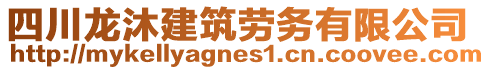 四川龍沐建筑勞務有限公司