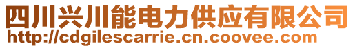 四川興川能電力供應有限公司