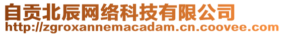 自貢北辰網(wǎng)絡(luò)科技有限公司