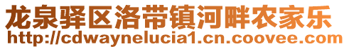 龍泉驛區(qū)洛帶鎮(zhèn)河畔農(nóng)家樂