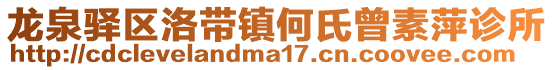 龍泉驛區洛帶鎮何氏曾素萍診所