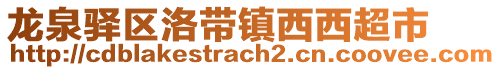 龍泉驛區(qū)洛帶鎮(zhèn)西西超市