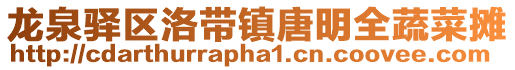 龍泉驛區洛帶鎮唐明全蔬菜攤