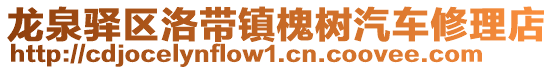 龍泉驛區(qū)洛帶鎮(zhèn)槐樹汽車修理店