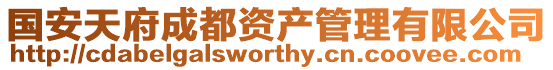 國安天府成都資產(chǎn)管理有限公司