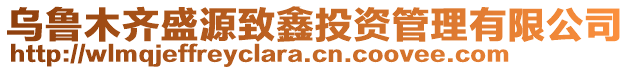 烏魯木齊盛源致鑫投資管理有限公司