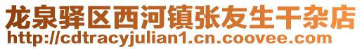龍泉驛區西河鎮張友生干雜店