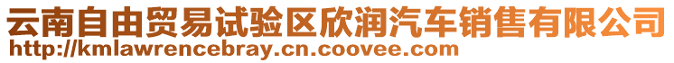 云南自由貿(mào)易試驗(yàn)區(qū)欣潤(rùn)汽車銷售有限公司