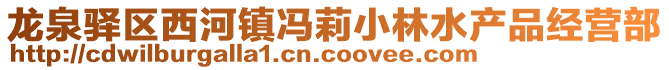 龍泉驛區(qū)西河鎮(zhèn)馮莉小林水產(chǎn)品經(jīng)營(yíng)部