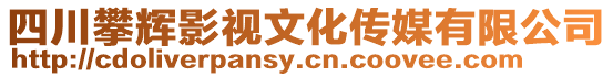 四川攀輝影視文化傳媒有限公司