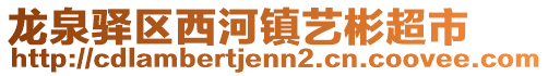 龍泉驛區(qū)西河鎮(zhèn)藝彬超市