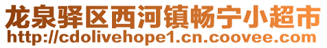 龍泉驛區(qū)西河鎮(zhèn)暢寧小超市