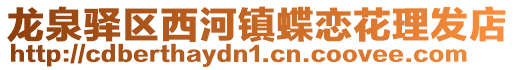 龍泉驛區西河鎮蝶戀花理發店
