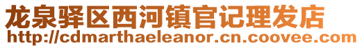 龍泉驛區西河鎮官記理發店